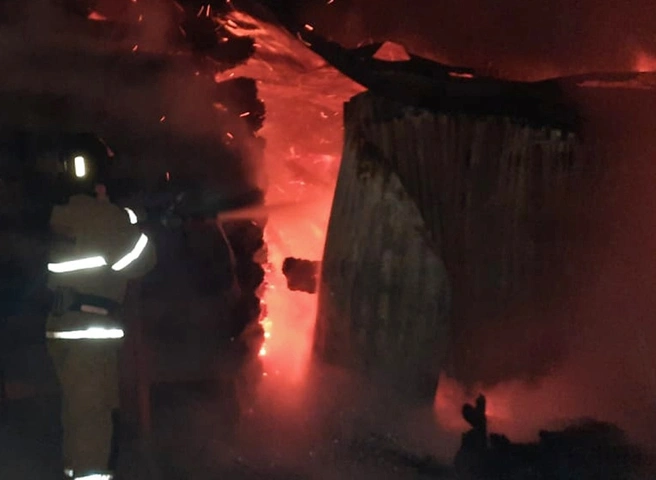 При пожаре в Рыбновском районе погибли два человека | ya62.ru