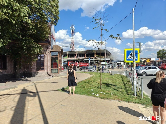 Источник: читатель 161.RU