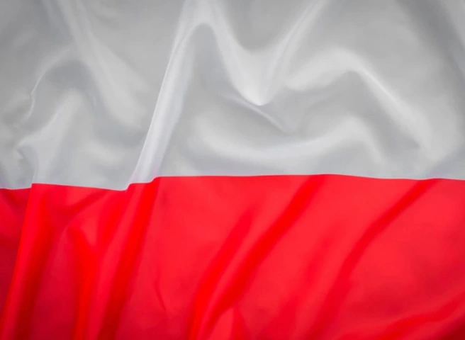 СМИ: поляки начали готовиться к боевым действиям с Россией | ya62.ru