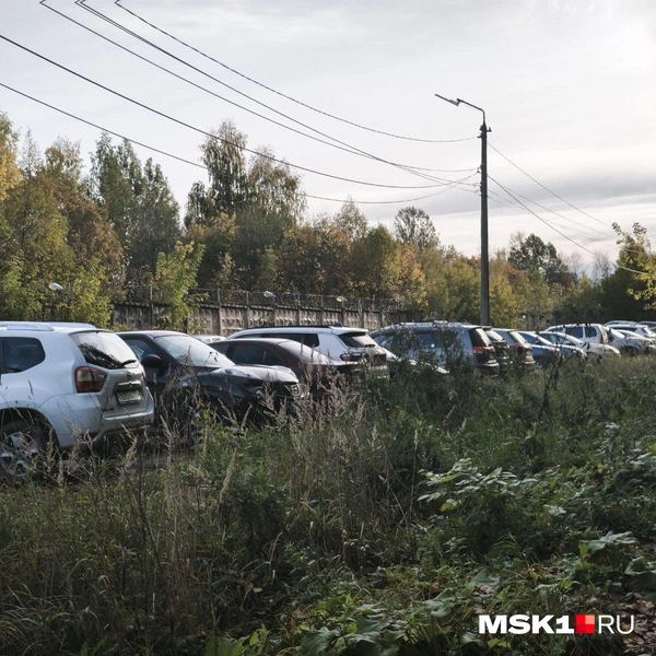 Источник: Михаил Мечев / MSK1.RU