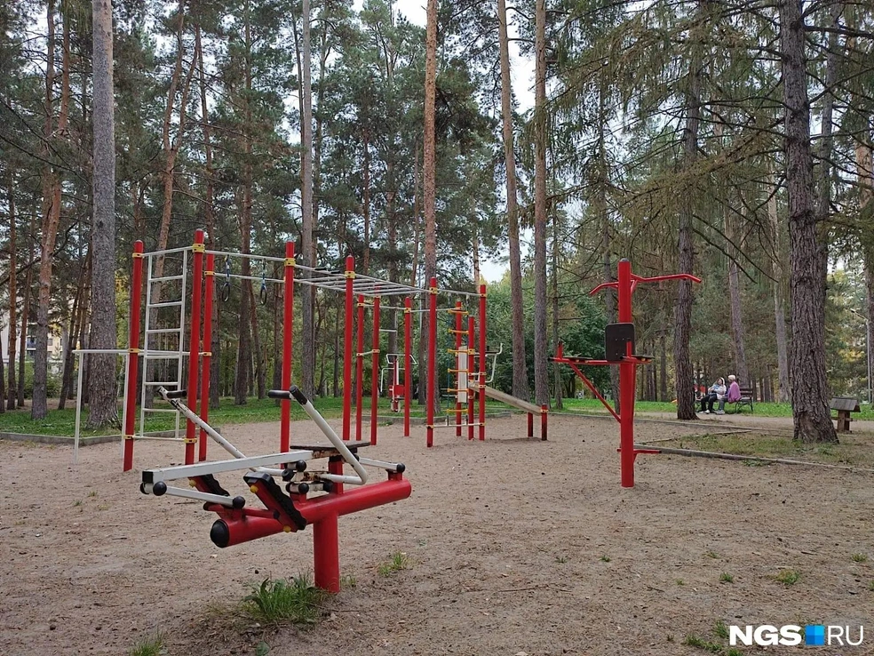 На портале «Госуслуги» пишут, что на первом этапе благоустройства установят наружное освещение и проведут озеленение | Источник: Илья Калинин / NGS.RU