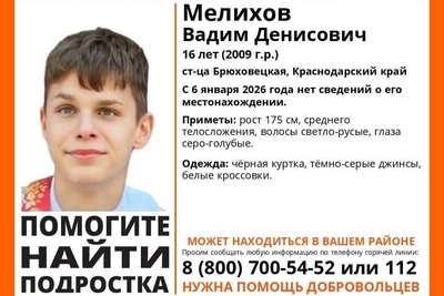Teenager missing in Kuban for over 20 days; volunteers seek help