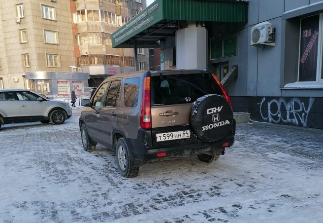 Заехал поближе | Источник: читатель НГС