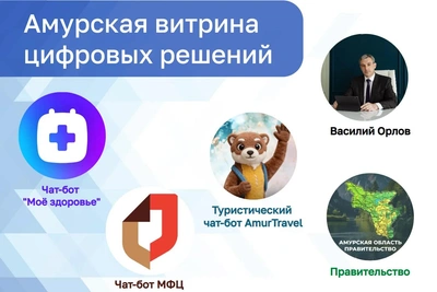 В Амурской области начала работу единая цифровая платформа