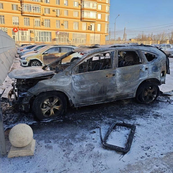 Источник: ГУ МВД России по Волгоградской области