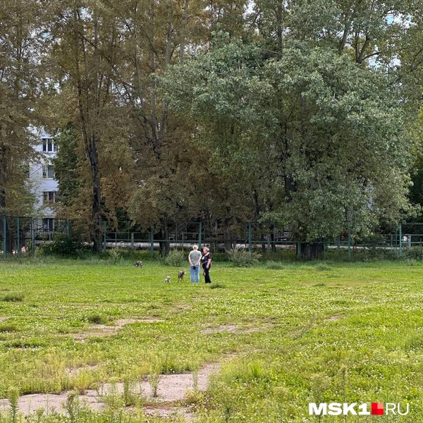 Источник: Андрей Овчаренко