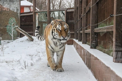 Зоопарк «Лимпопо» продлил время работы в Нижнем Новгороде