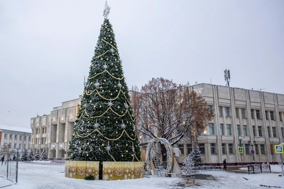 Шесть площадок для новогодних гуляний в Ярославле