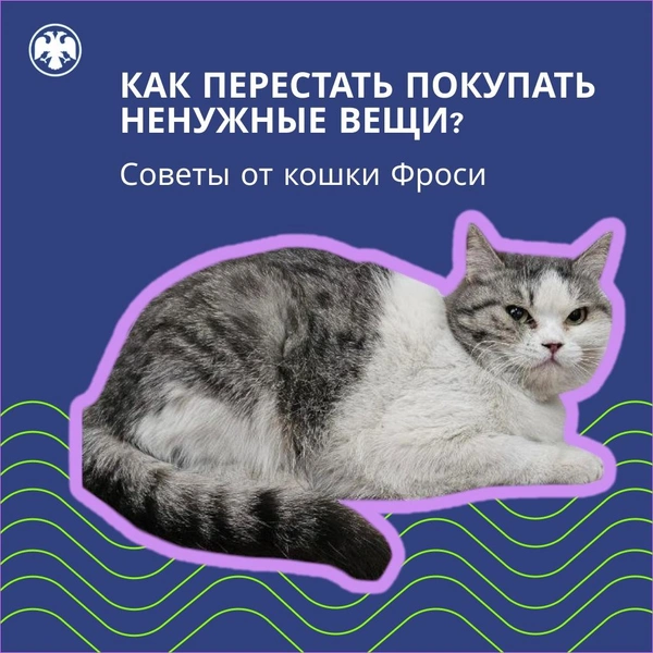 Источник: Банк России в ЦФО / Вконтакте