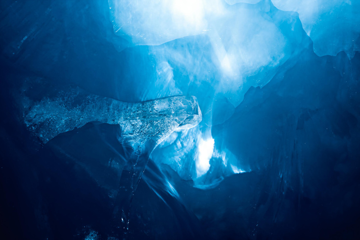 Ученые рассказали о страшных находках во льдах Антарктиды — там была жизнь