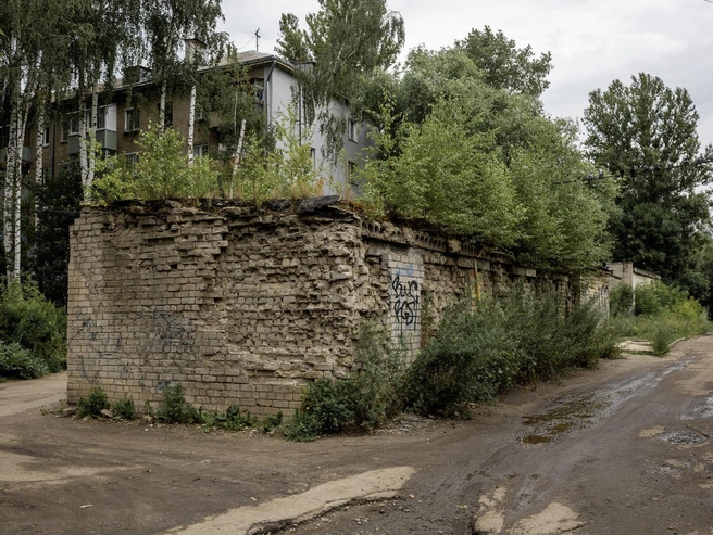 Густая зелень почти полностью скрыла остатки гаражей. | Источник: Александр Куренной / 76.RU