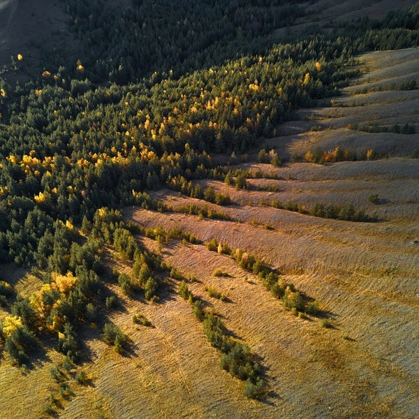 Какие краски! | Источник: Сергей Коршилов / Вконтакте