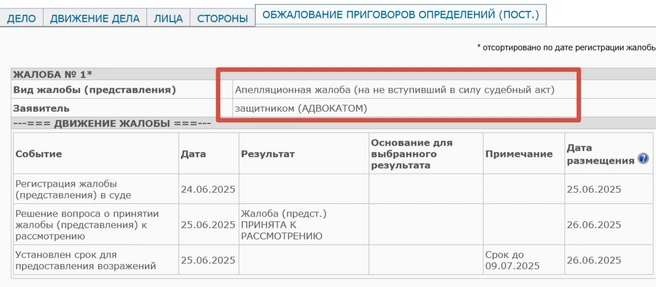 Жалоба адвоката Бедной поступила в Советский районный суд Орска, а теперь и в Оренбургский областной | Источник: Советский районный суд Орска