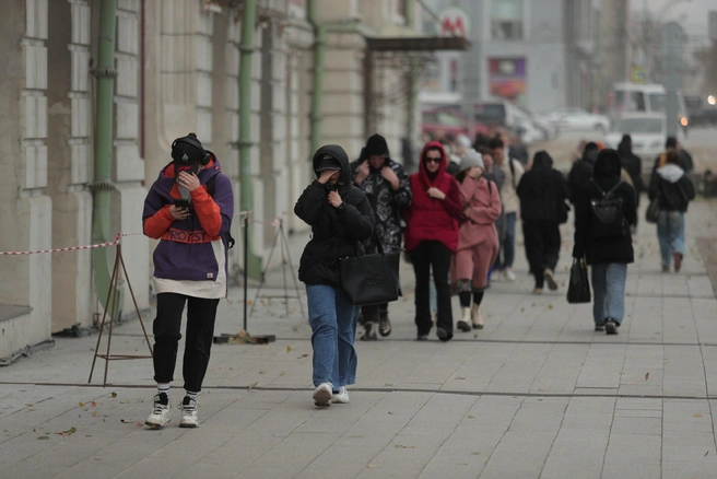 Упавшие деревья и пылевая буря: Новосибирск накрыл сильный ветер — хроника | Источник: Андрей Бортко / NGS.RU