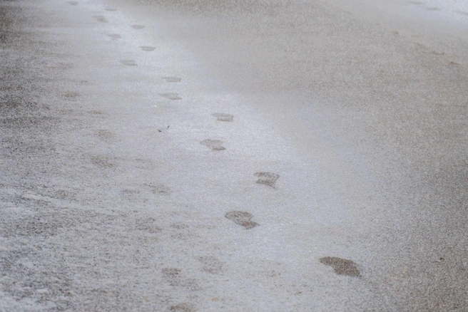Апрельский след, 10.04.2025 | Источник: Булат Салихов / UFA1.RU