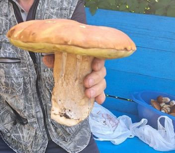 Источник: читатель NN.RU