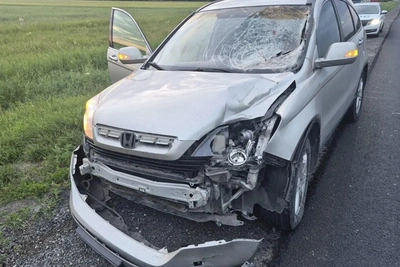 Мужчина погиб под колесами Honda CR-V на трассе под Новосибирском