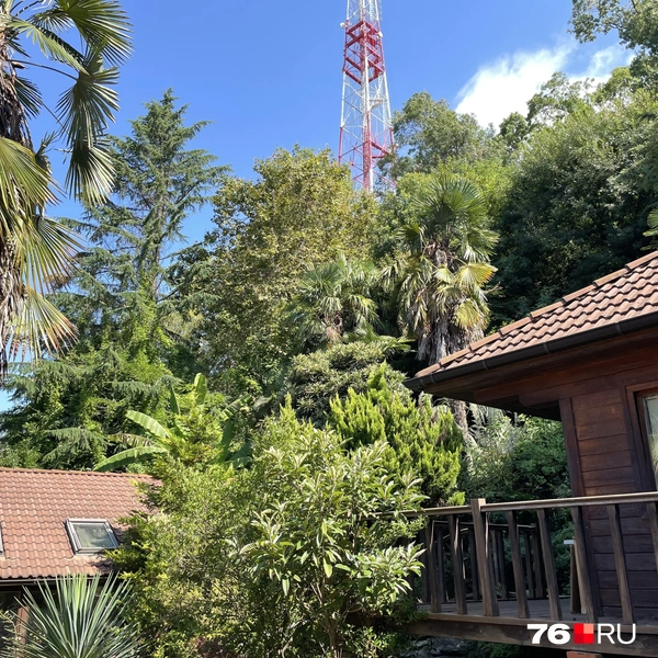 Дом находился на склоне горы | Источник: Кирилл Поверинов / 76.RU