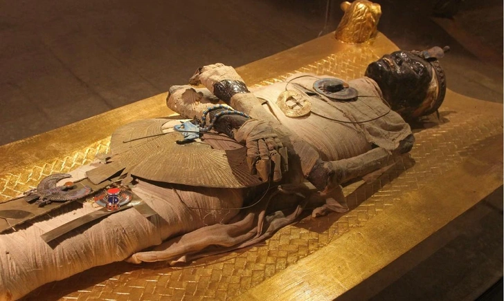 В НГУ показали найденную во льдах мумию женщины, которой сделали операцию 4,5 тысячи лет назад | Источник: iStockphoto/ttatty