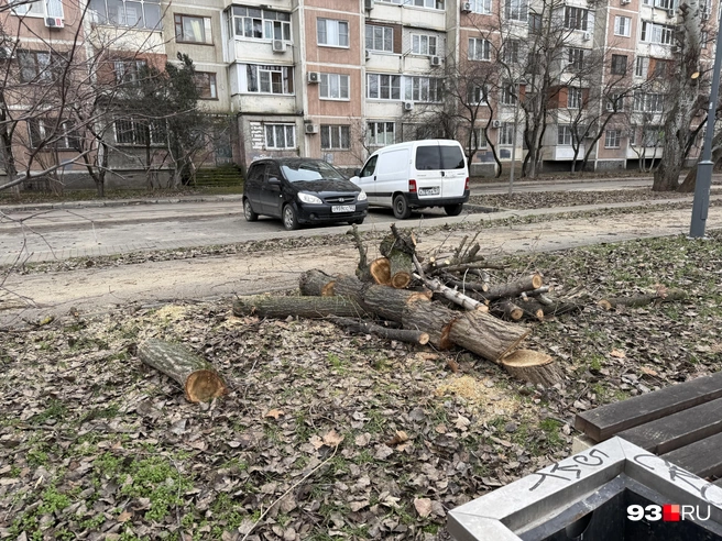 Ветки до сих пор не убрали | Источник: Валерия Дульская / 93.RU