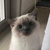 userpic__Irina56908