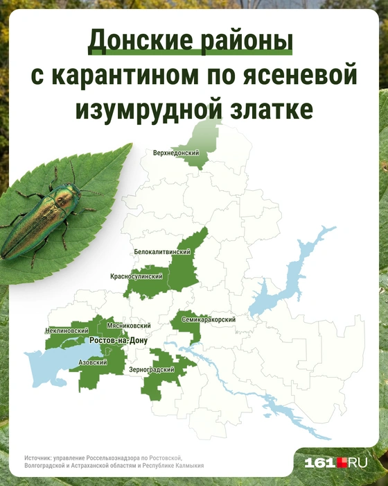 Источник: Серафима Пантыкина / Городские медиа