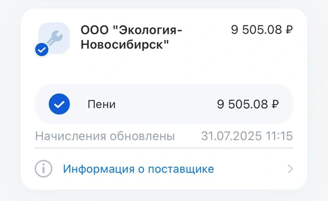 В платежке указано, что указанная сумма — это пени | Источник: Предоставила Ксения