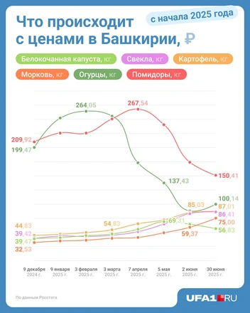 Источник: Юрий Скулыбердин / Городские медиа