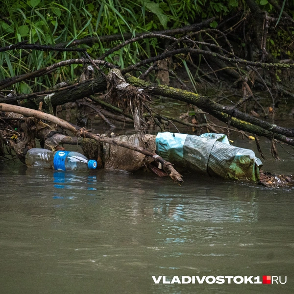 Источник: Елена Буйвол / VLADIVOSTOK1.RU