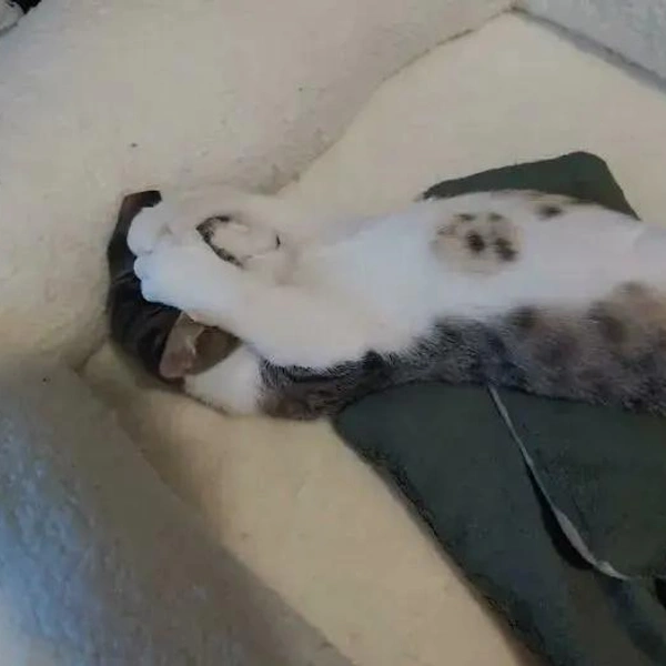 Источник: соцсети