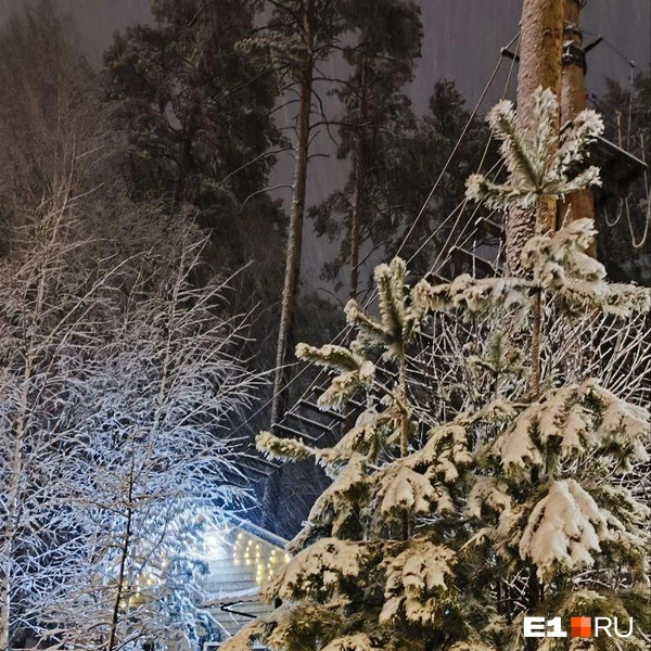 Источник: читательница E1.RU