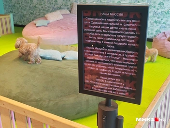 В своей миссии «Мальтипу Броски» соединили и собак, и детей | Источник: Михаил Мечев / MSK1.RU