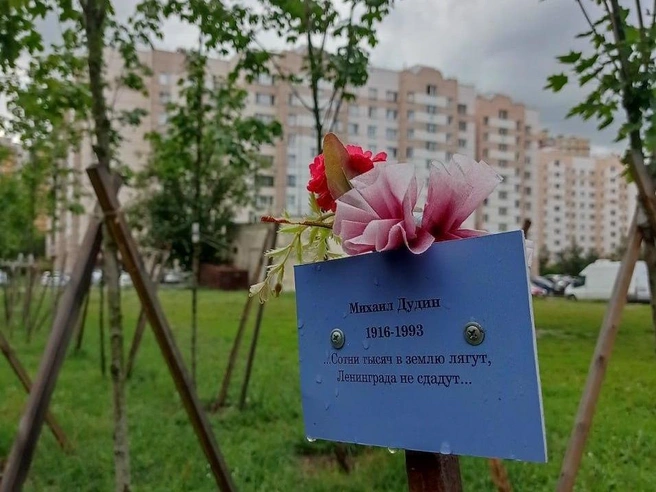 Такой была шушарская Аллея памяти ленинградских поэтов и писателей, защищавших город в блокаду во время Великой Отечественной войны | Источник: Шушары
