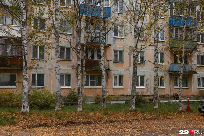 Источник: Иван Митюшёв / 29.RU