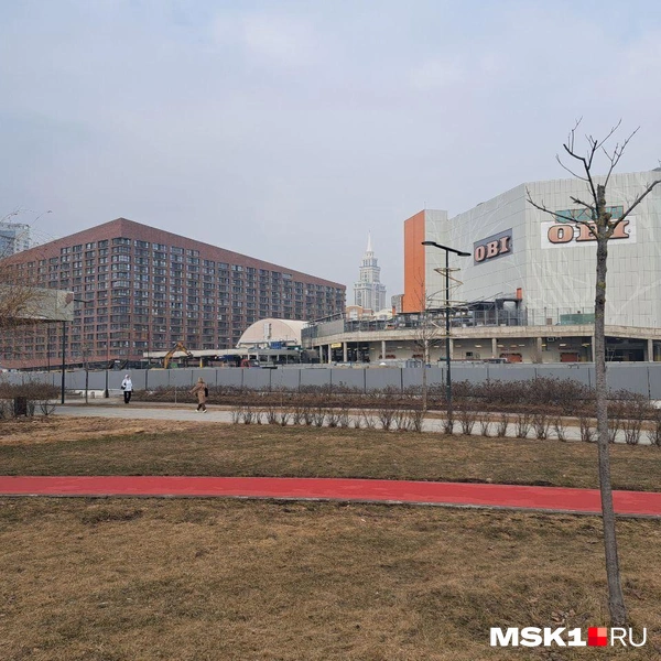 Источник: Арина Майорова / MSK1.RU
