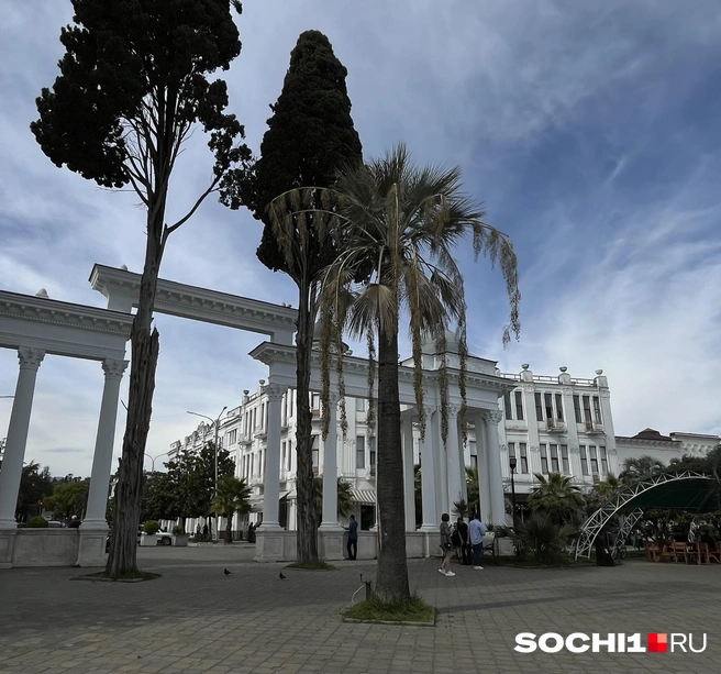 Источник: Анна Грицевич / SOCHI1.RU