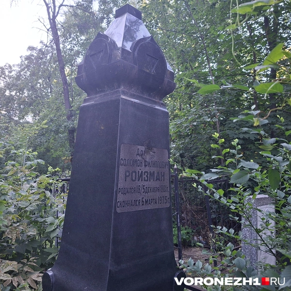 Источник: Алёна Воропаева / Voronezh1.ru