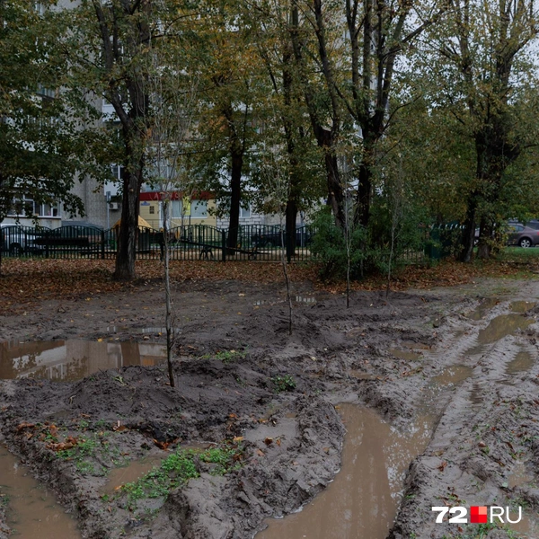 Источник: Ирина Шарова / 72.RU