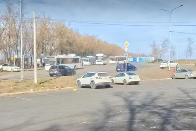 Маршрут 1А в Суворовском отменили: как компенсируют отмену