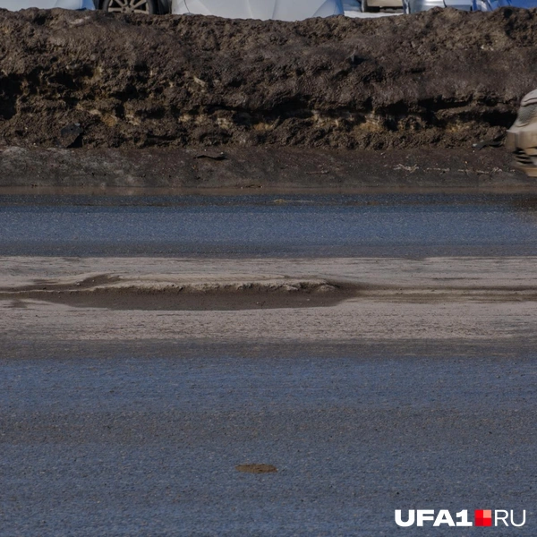 Полоса препятствий  | Источник: Булат Салихов / UFA1.RU