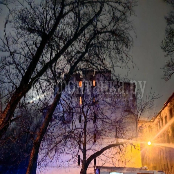 Источник: Ксения Потеева / FONTANKA.RU
