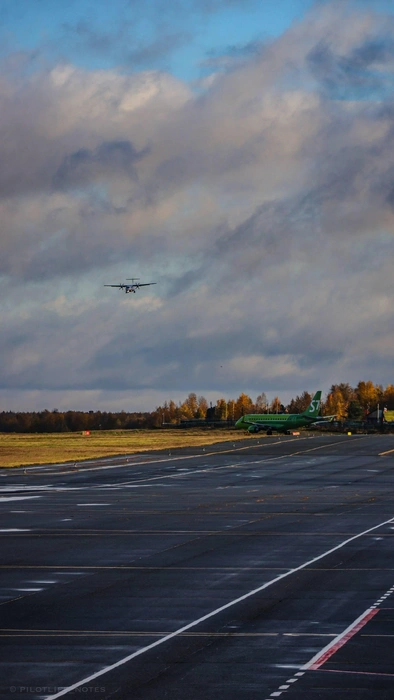 Источник: Pilot life notes. AVIATION / t.me