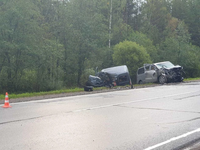 Неудавшийся обгон одного микроавтобуса привел к лобовому двух других. Подробности смертельного ДТП на Киевском (фото, видео) | Источник: пресс-службе ГУ МВД по Петербургу и Ленобласти