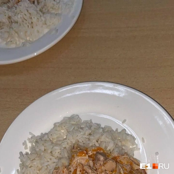 Зато посмотрите, как много мяса! | Источник: читатель E1.RU