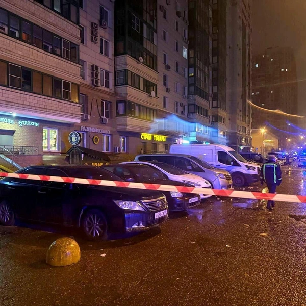 Источник: телеграм-канал губернатора Московской области Андрея Воробьева