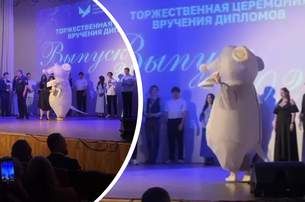 «Ну ты и крыса»: улыбнитесь, глядя, как выпускницу одного из главных вузов Уфы поддержала подруга