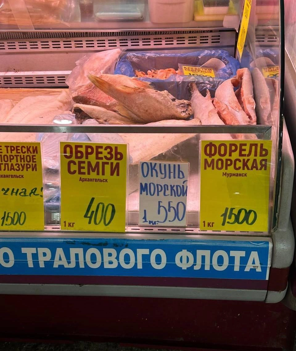 Продукция АТФ | Источник: Анастасия Гусева / 29.RU