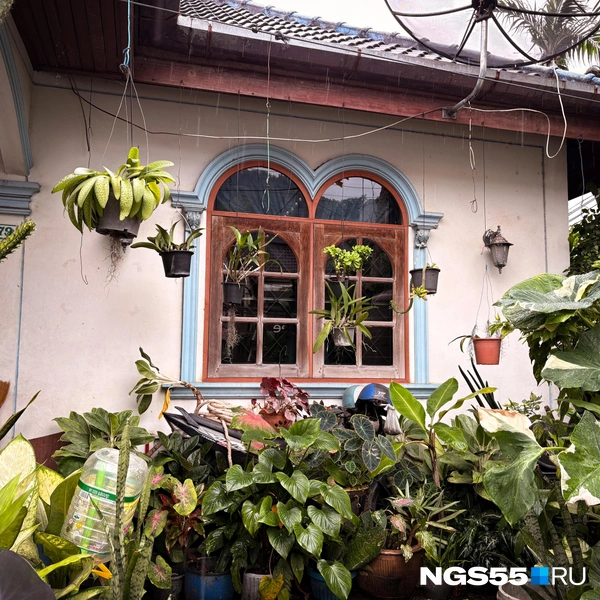 Домишки буквально утопают в растениях | Источник: Тамара Башаева / NGS55.RU