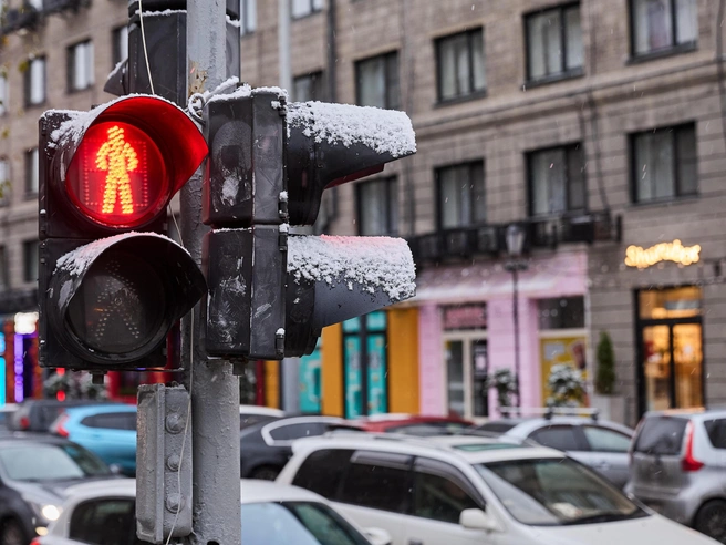 В Новосибирске 15 октября выпал первый снег | Источник: Александр Ощепков / NGS.RU