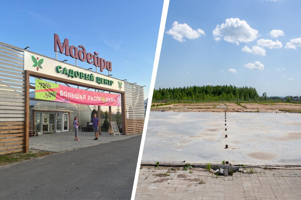 Вместо магазина — пустое поле: стало известно, куда пропал крупный садовый центр под Ярославлем